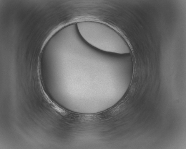 X0000054381390200507290845