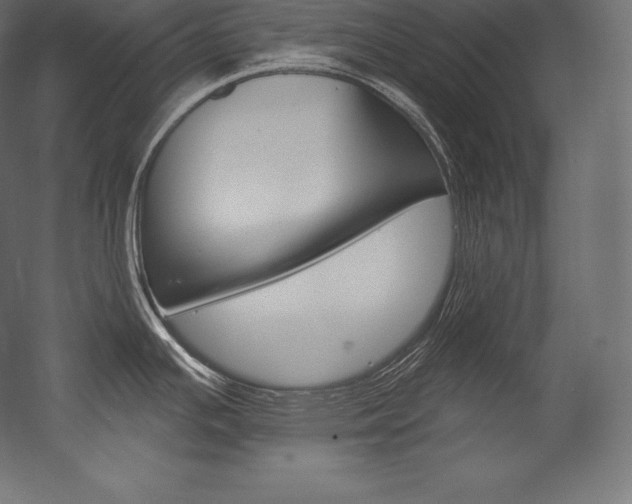 X0000054381391200507290845