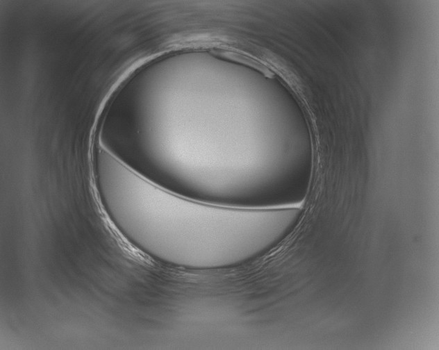 X0000054381392200507290845