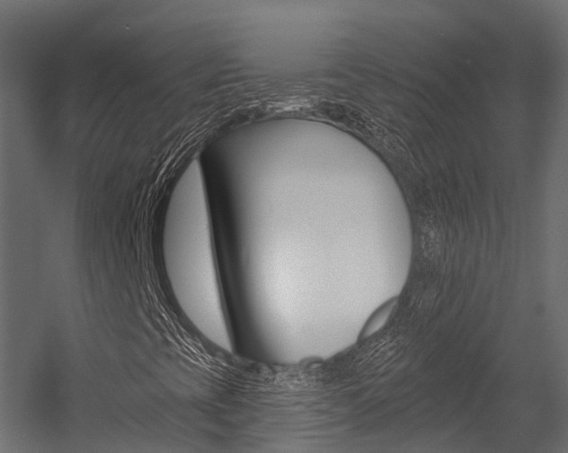 X0000054381393200507290845