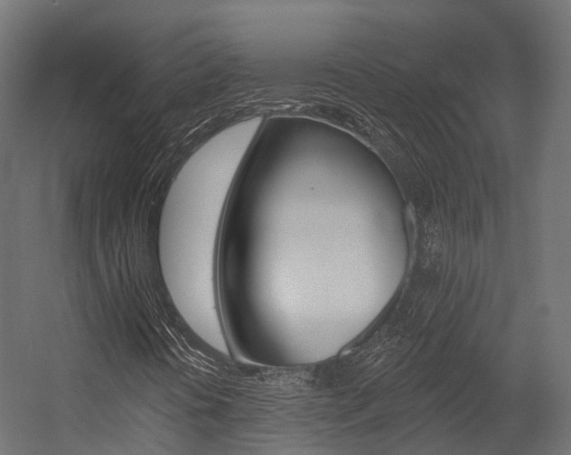 X0000054381394200507290845