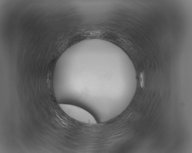 X0000054381395200507290845