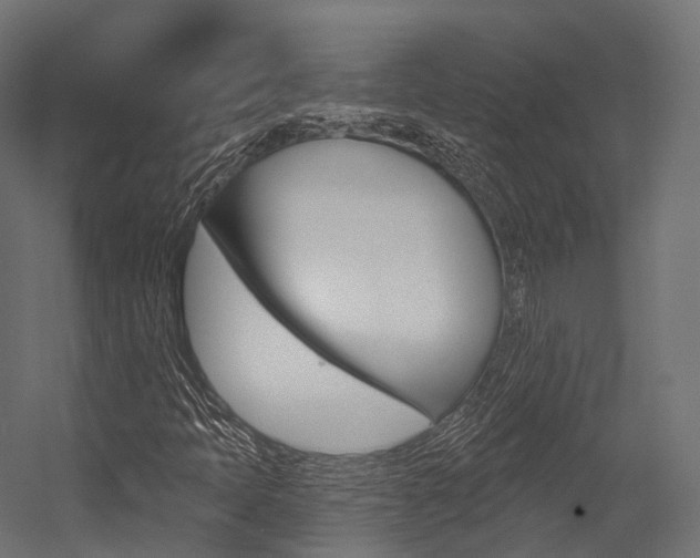 X0000054381397200507290845