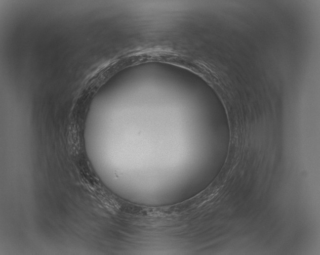 X0000054381398200507290845