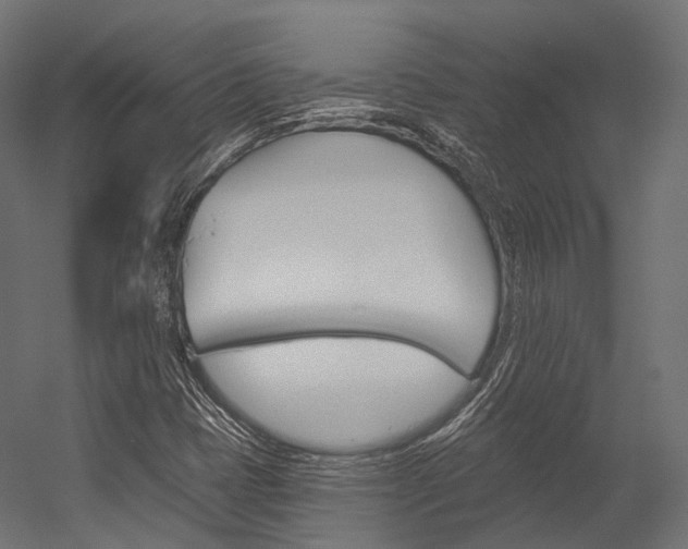 X0000054381401200507290845