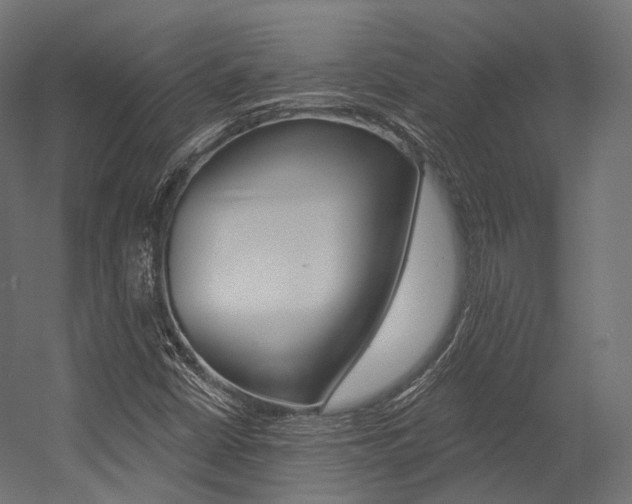 X0000054381402200507290845