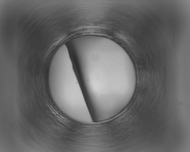 X0000054381403200507290845