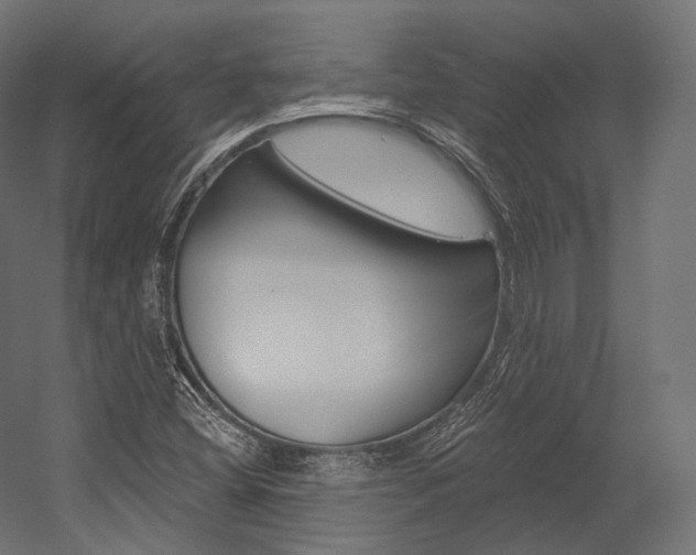 X0000054381404200507290845