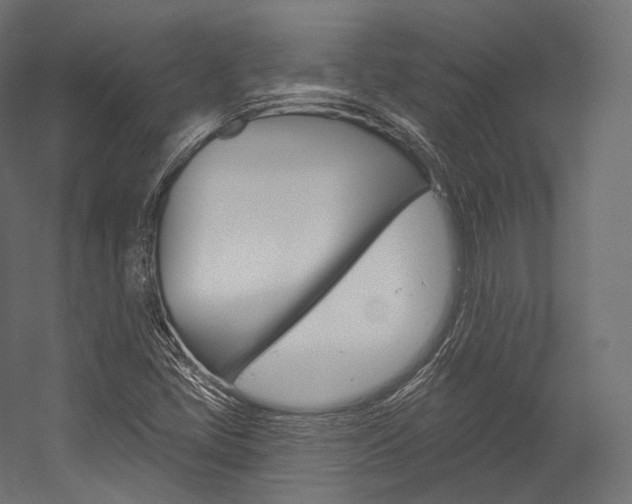 X0000054381405200507290845