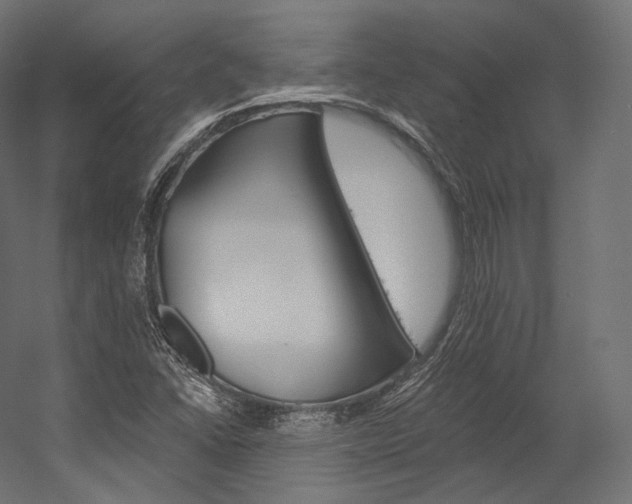 X0000054381406200507290845