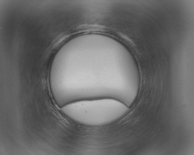 X0000054381407200507290845