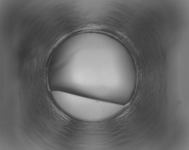 X0000054381409200507290845