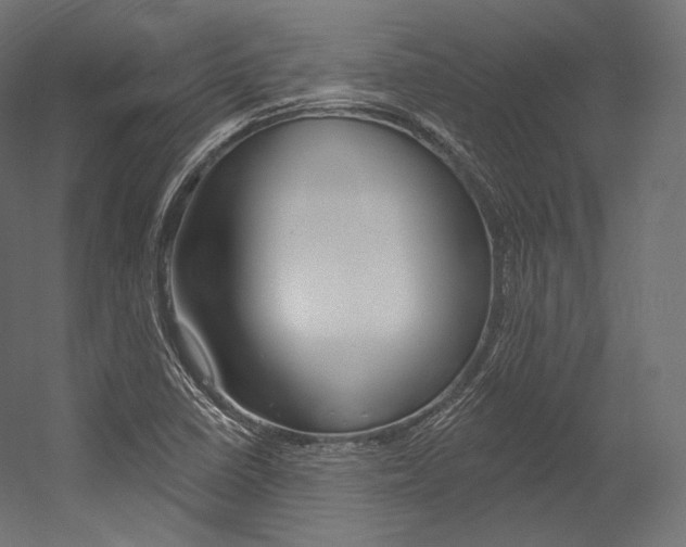 X0000054381410200507290845