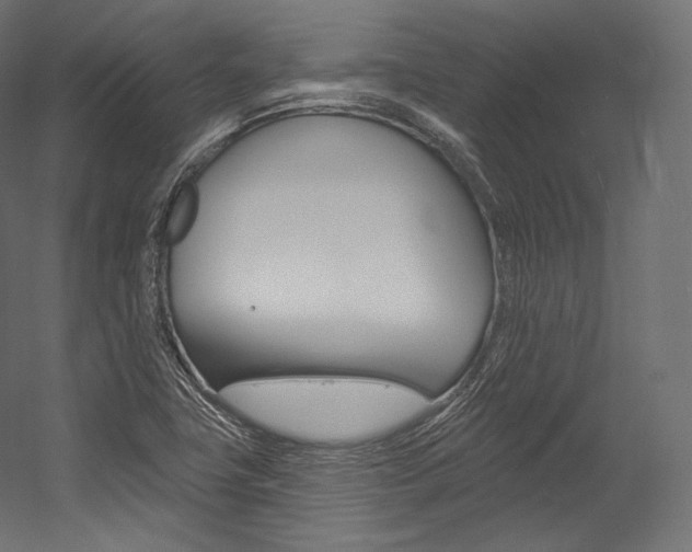 X0000054381411200507290845