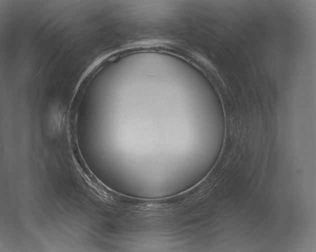 X0000054381412200507290845