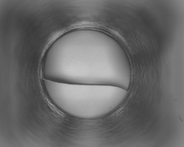 X0000054381413200507290845