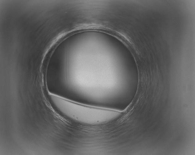 X0000054381414200507290845