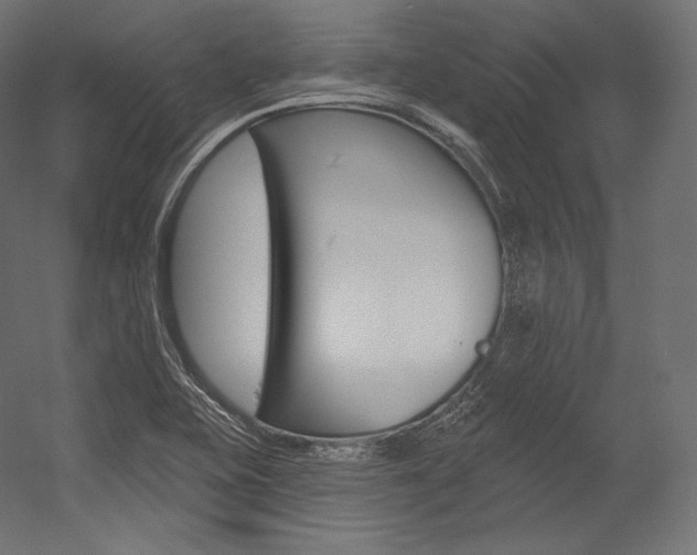 X0000054381415200507290845