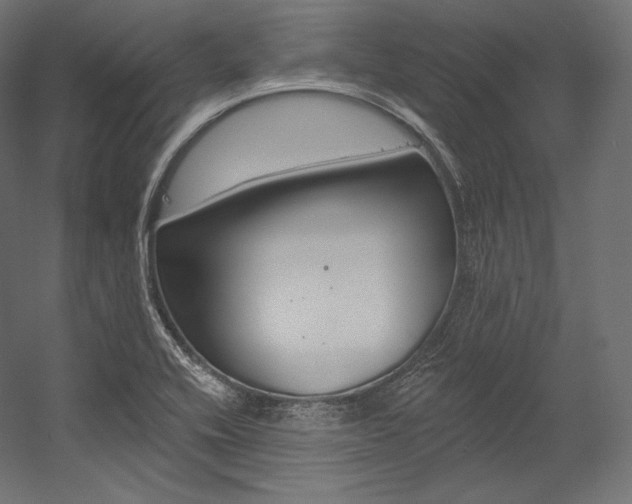 X0000054381416200507290845