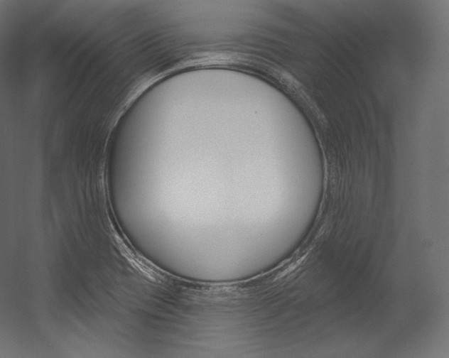X0000054381417200507290845