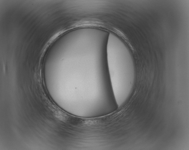 X0000054381419200507290845
