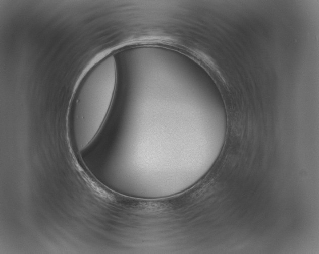 X0000054381420200507290845