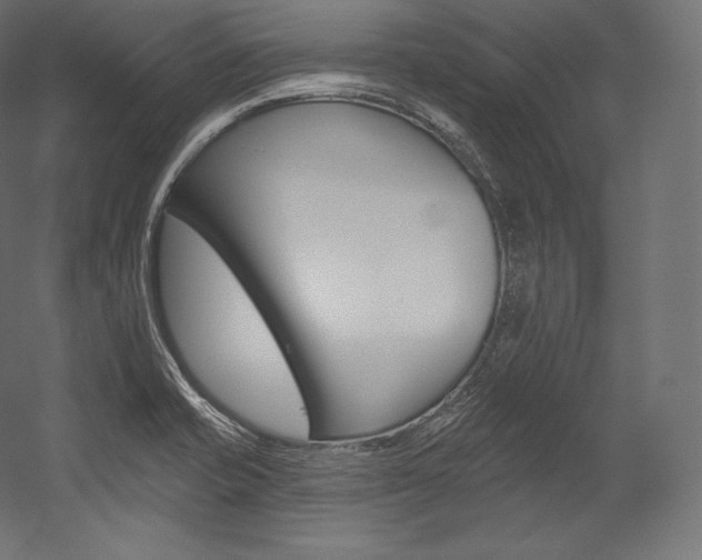 X0000054381421200507290845