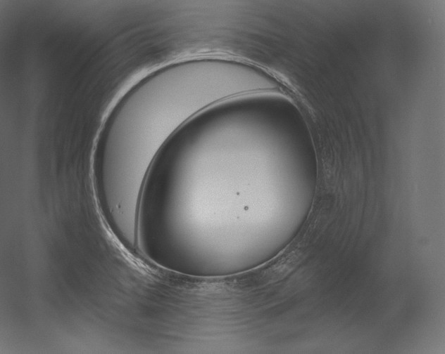 X0000054381422200507290845