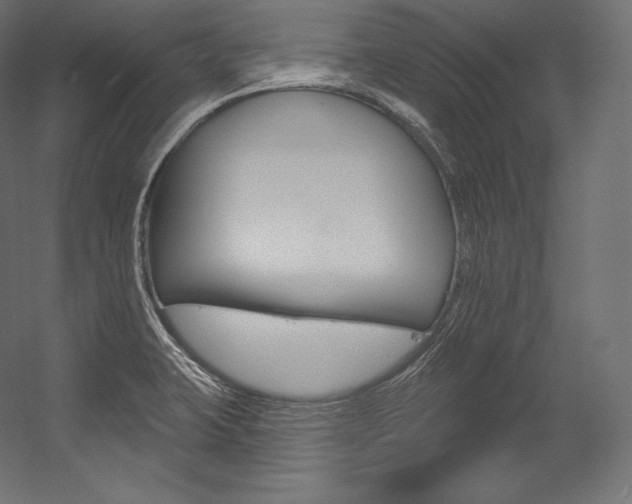 X0000054381423200507290845