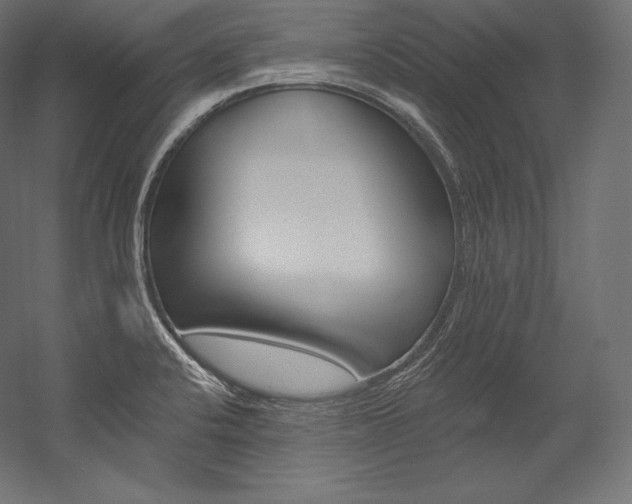 X0000054381424200507290845