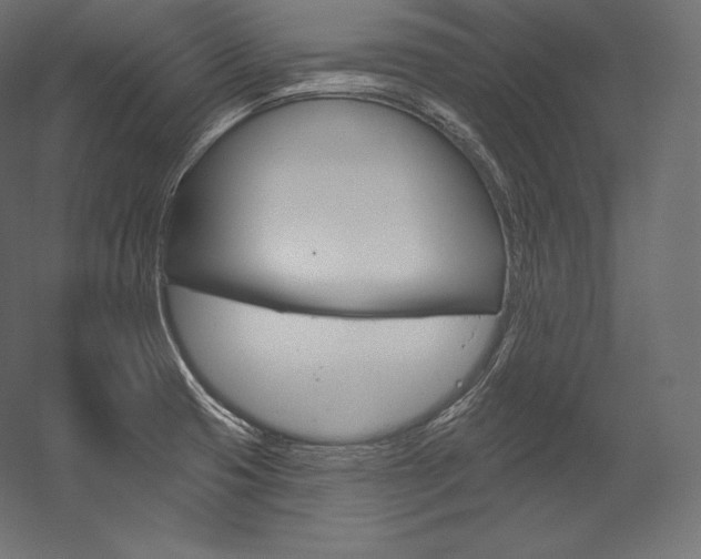 X0000054381425200507290845