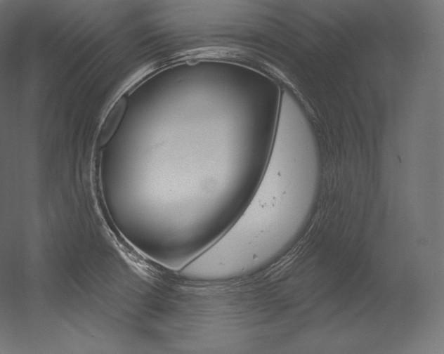 X0000054381426200507290845
