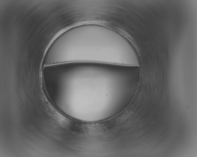 X0000054381428200507290845