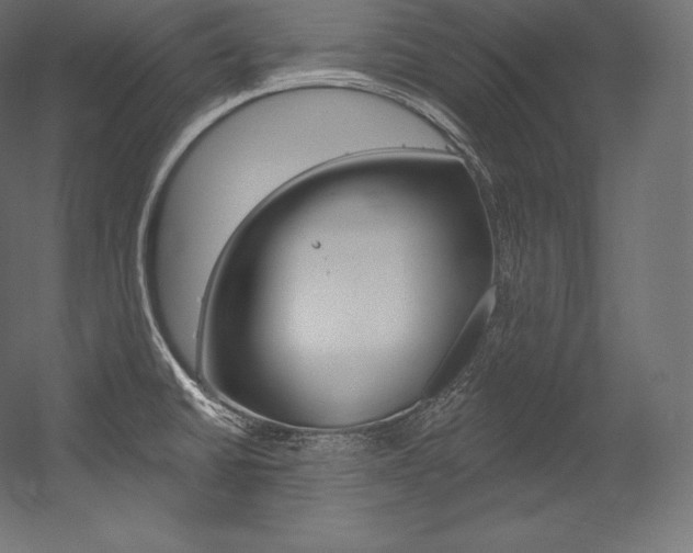 X0000054381430200507290845
