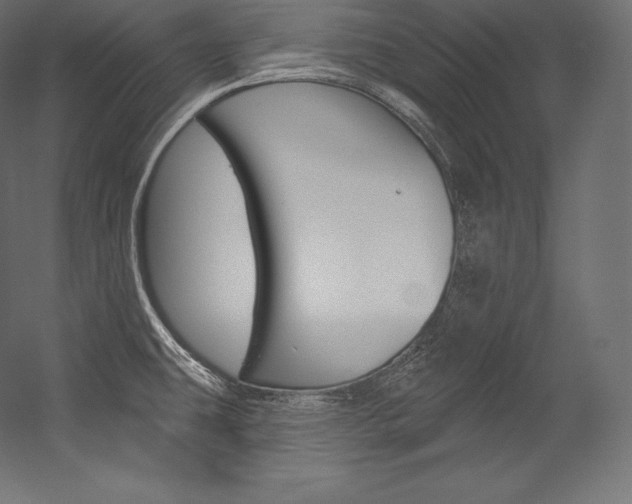 X0000054381431200507290845