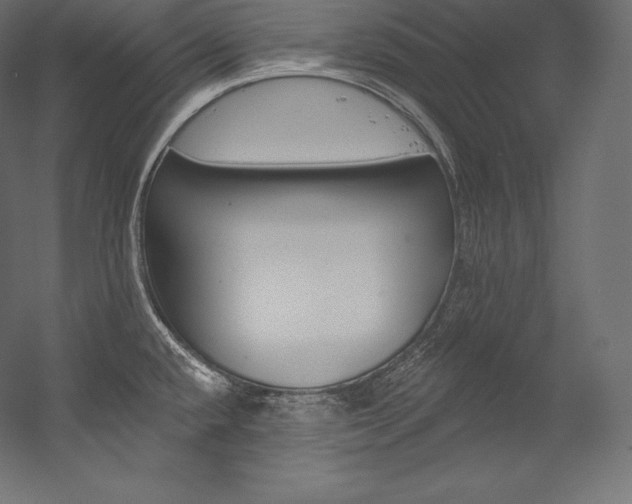 X0000054381432200507290845