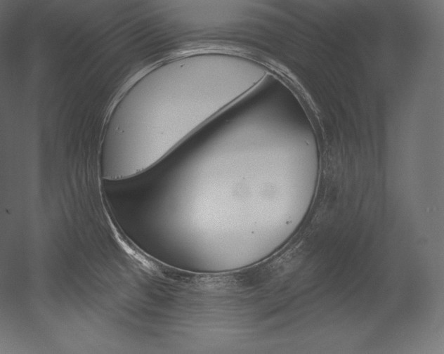 X0000054381433200507290845
