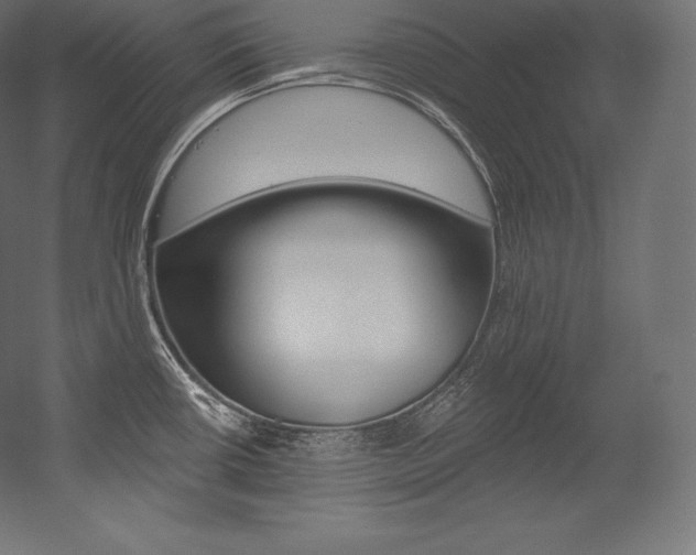 X0000054381434200507290845