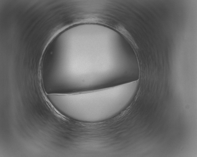 X0000054381436200507290845