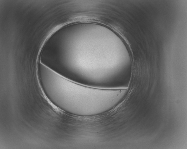 X0000054381437200507290845