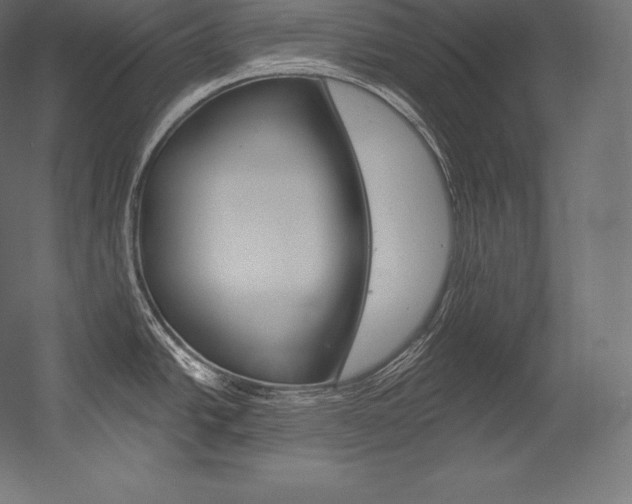 X0000054381438200507290845