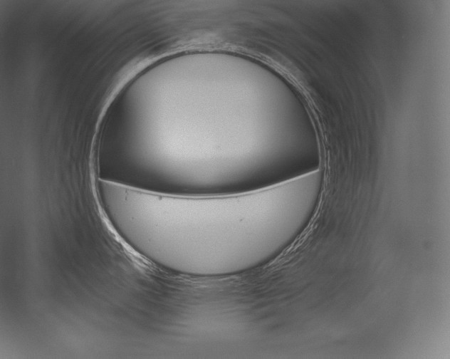 X0000054381440200507290845