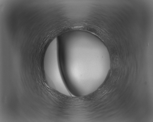 X0000054381441200507290845