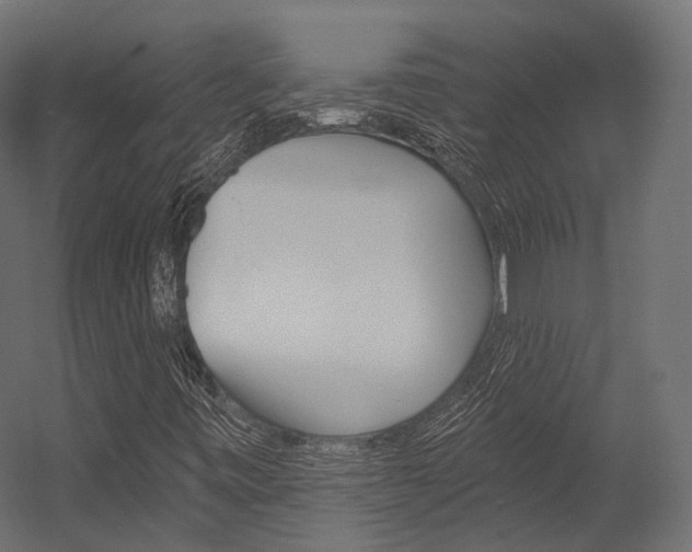 X0000054381443200507290844
