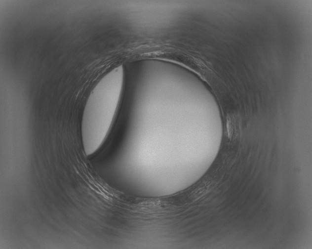 X0000054381444200507290844
