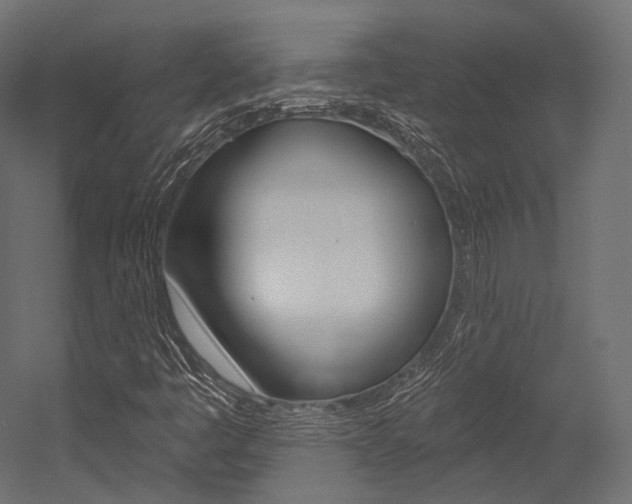 X0000054381445200507290844