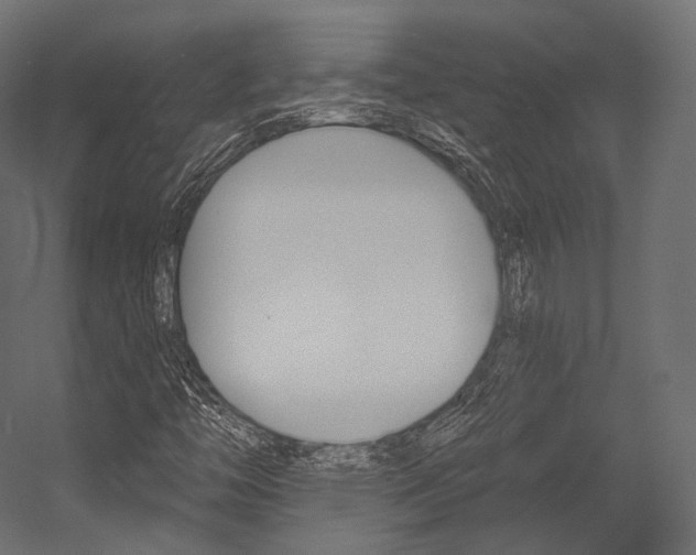 X0000054381446200507290844