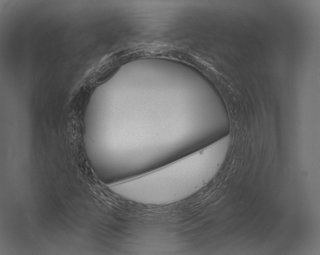 X0000054381447200507290844
