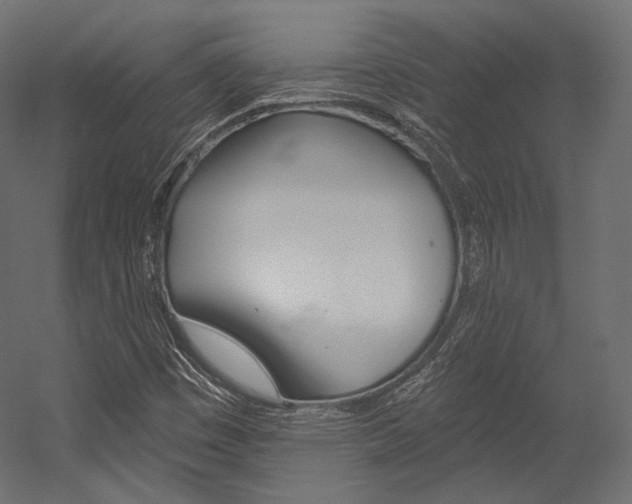X0000054381449200507290844