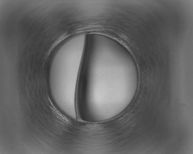 X0000054381450200507290844